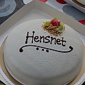 Hensnet 053